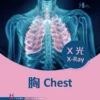 胸X光檢查 Chest X -Ray