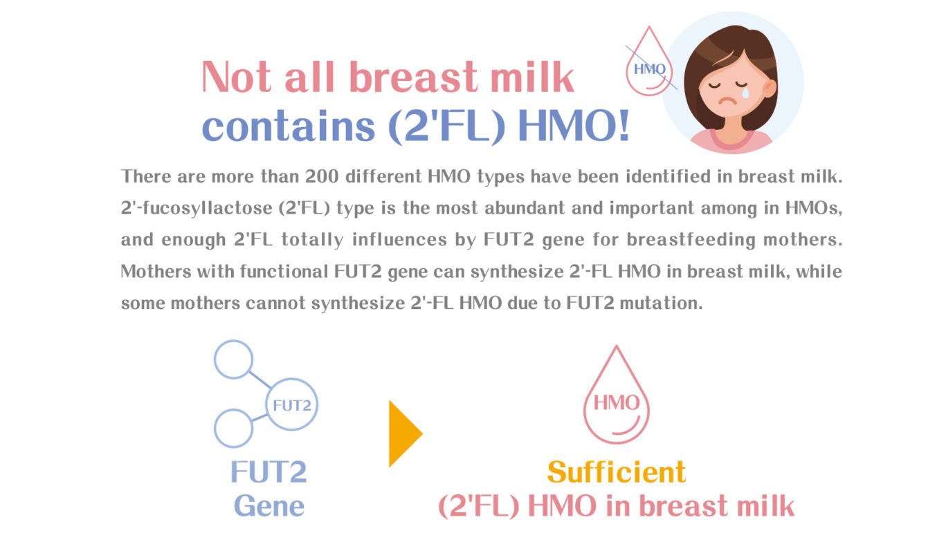 HMO Gene Test Web 03