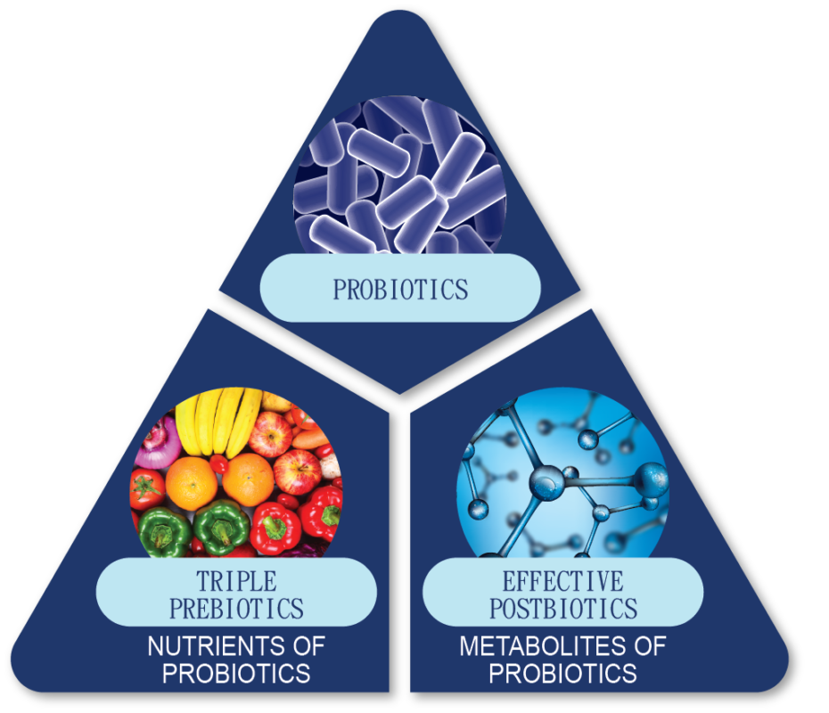 All rounded formula (probiotics, prebiotics and postbiotics)