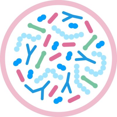 補充您缺乏的益生菌配方