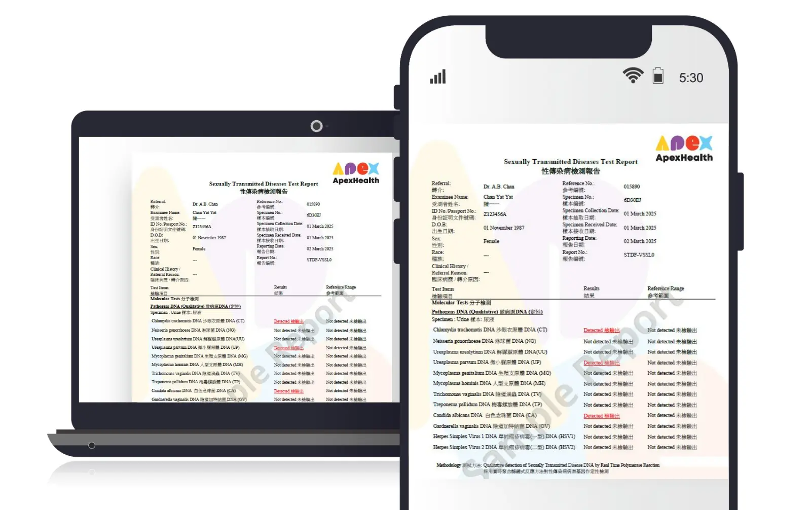 ApexHealth 性傳染病檢查報告2