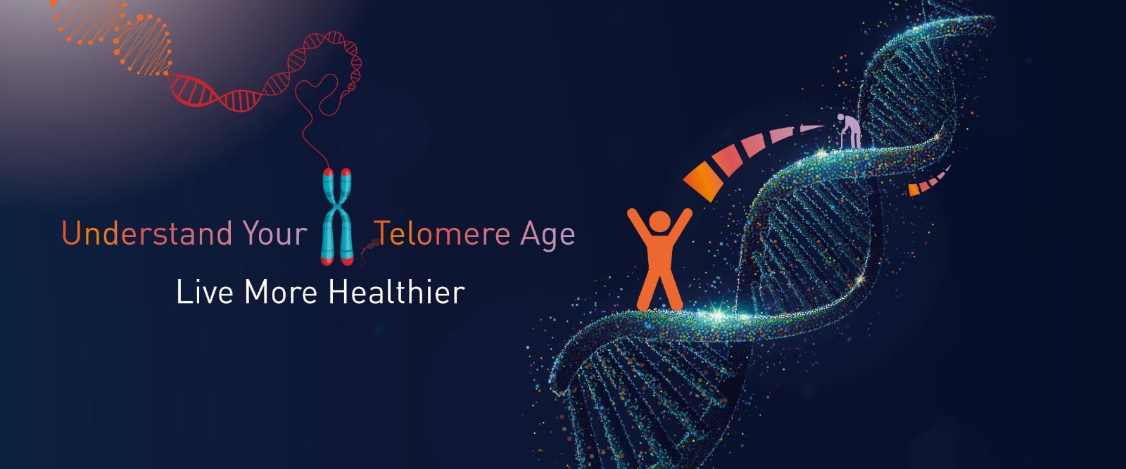 Understand Your Telomere Age-min