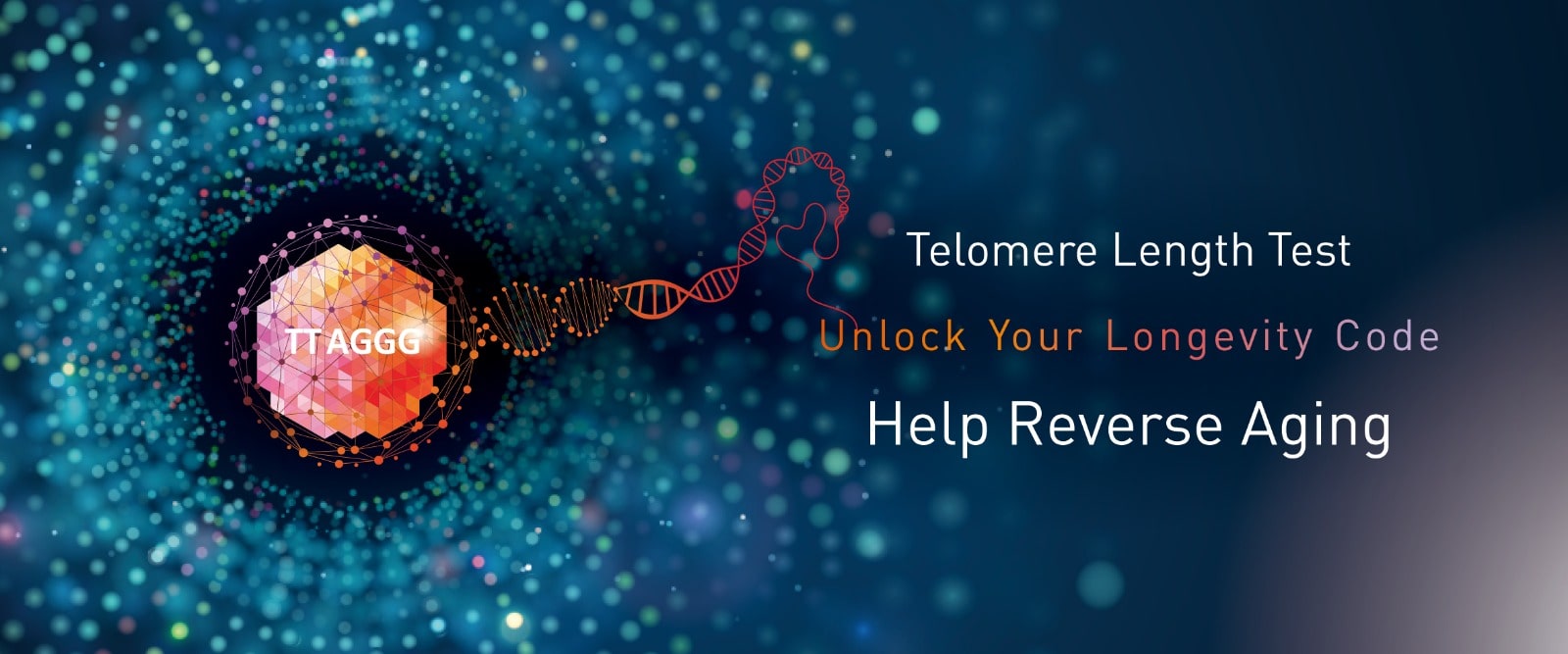 Unlock Your Longevity Code-min
