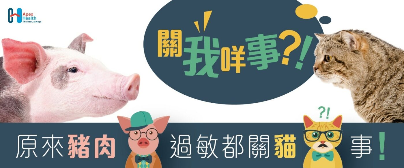 貓豬症候群 過敏 1600x667-min