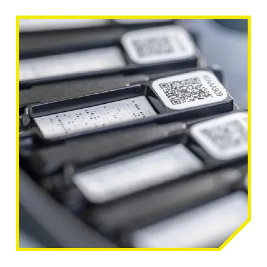 精準定位致敏元兇 - Alex3 敏感測試 - ApexHealth