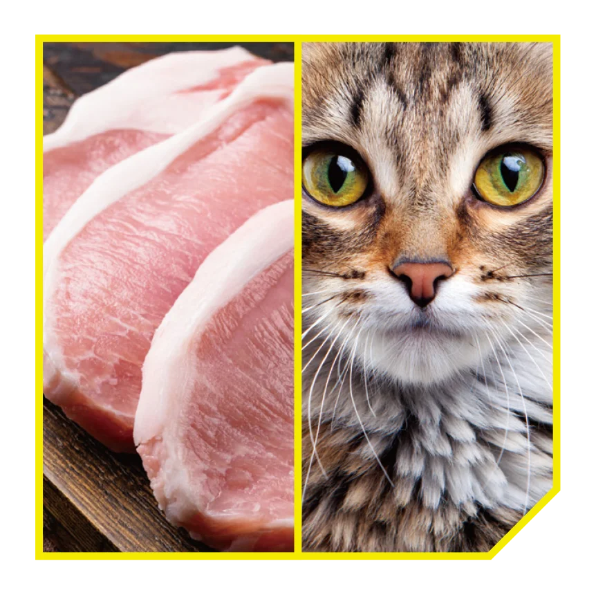 致敏交叉反應 - Alex3 敏感測試 - ApexHealth